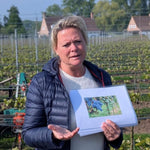 Advisor Profile Picture